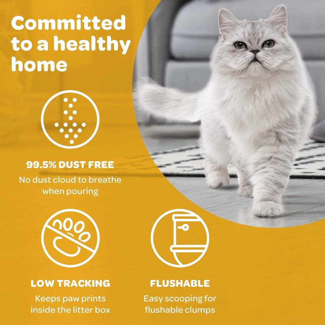 Upgrade your cat's litter experience effortlessly with sWheat Scoop Easy Maintenance – where simplicity meets superior performance. Your cat will thank you for it!