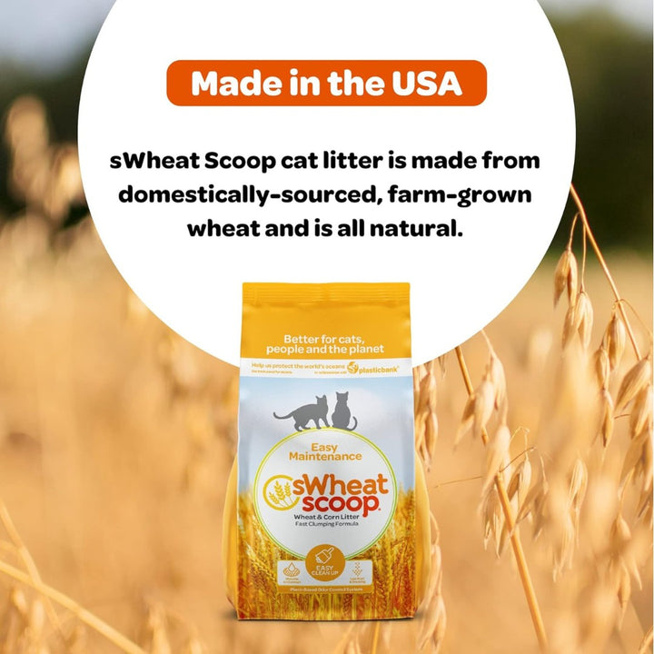 Upgrade your cat's litter experience effortlessly with sWheat Scoop Easy Maintenance – where simplicity meets superior performance. Your cat will thank you for it!