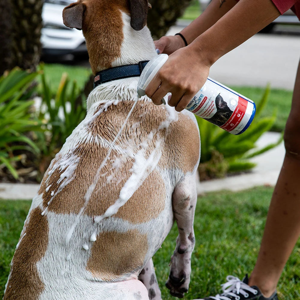 Vetericyn FoamCare Spray-On Medicated Pet Shampoo — product use and benefits