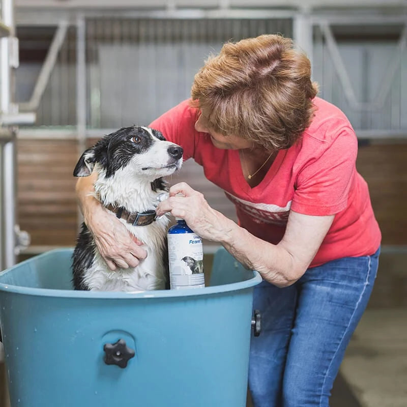 Vetericyn FoamCare Spray-On Medicated Pet Shampoo — product use and benefits
