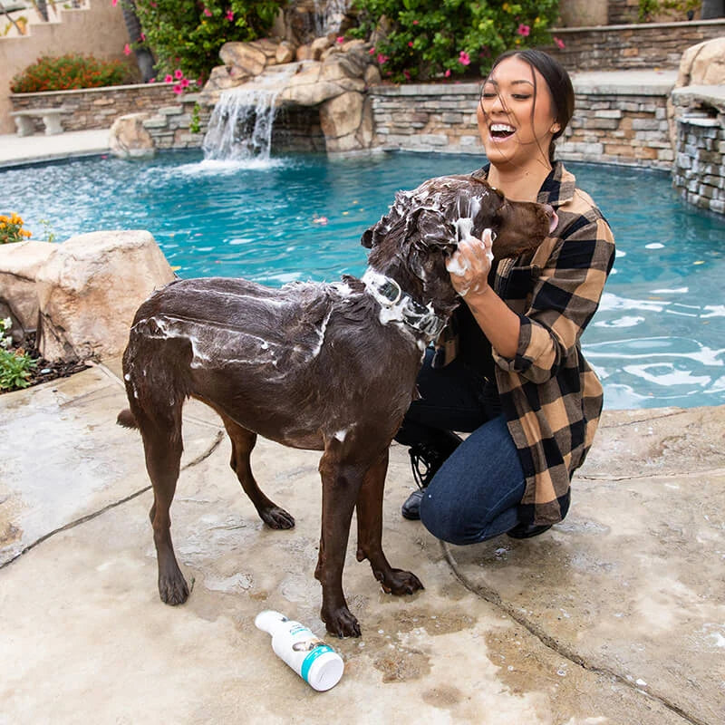 Vetericyn FoamCare Spray-On Pet Shampoo & Conditioner — product use and benefits