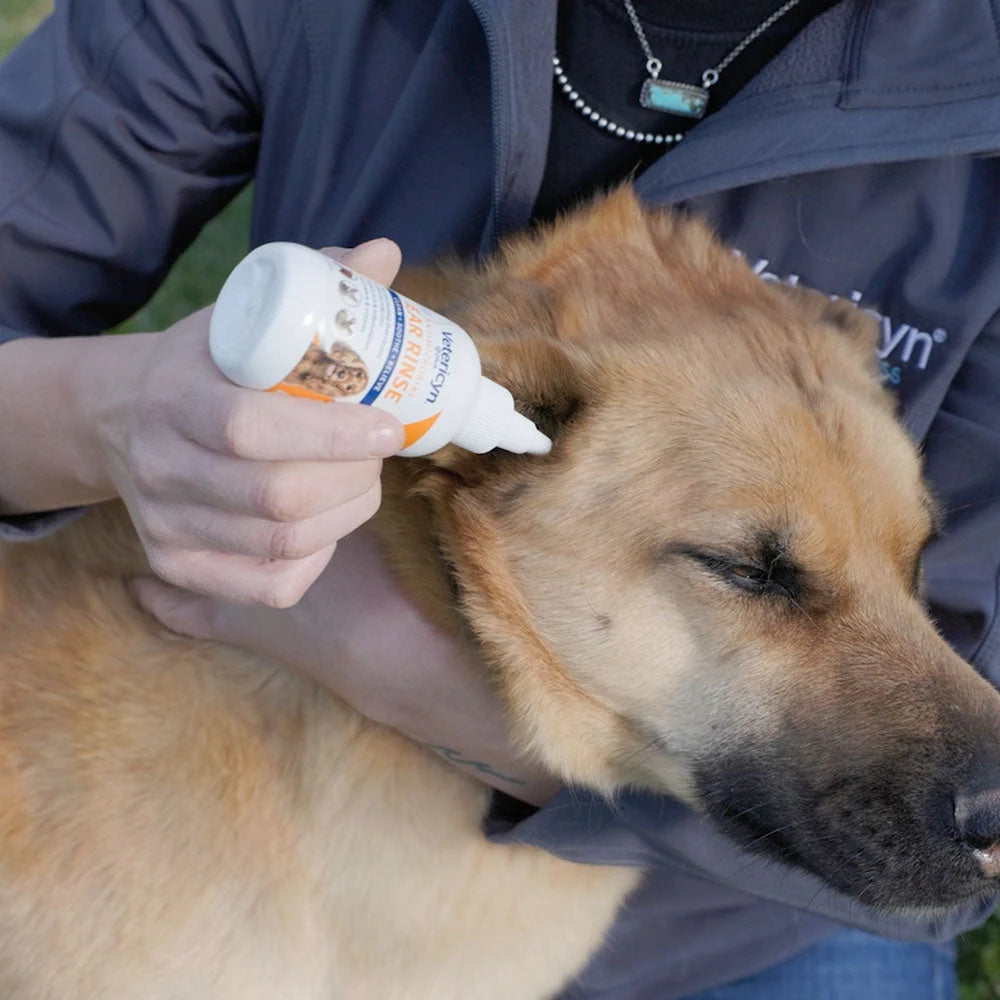 Vetericyn Plus All Animal Antimicrobial Ear Rinse — product use and benefits