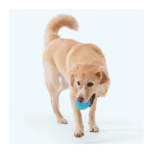 West Paw Jive Dog Ball - product detail 13