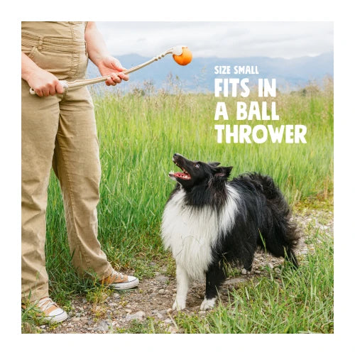 West Paw Jive Dog Ball - product detail 14