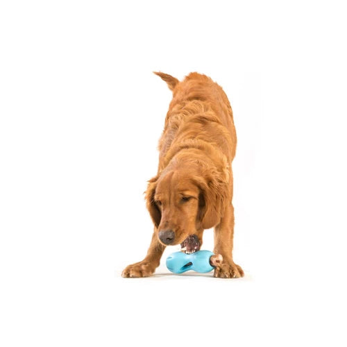 West Paw Qwizl Treat Toy - product detail 7
