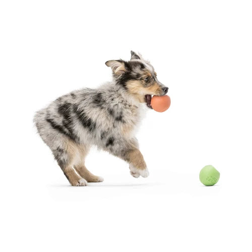 West Paw Rando Dog Toy - product detail 6