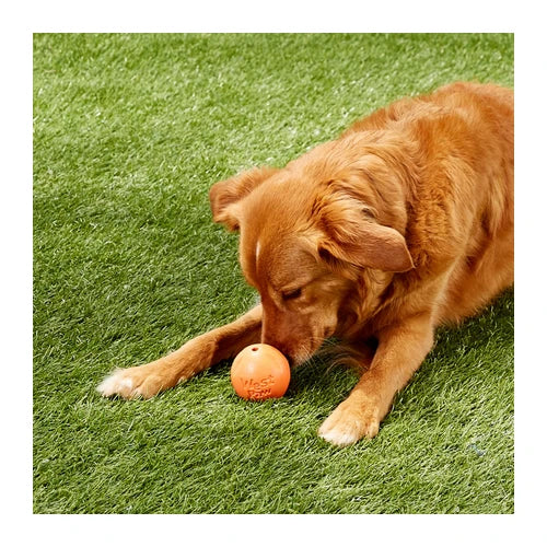 West Paw Rando Dog Toy - product detail 7