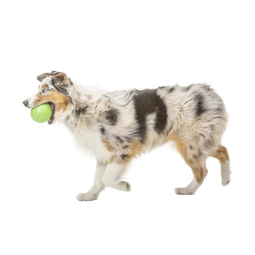 West Paw Rando Dog Toy - product detail 9