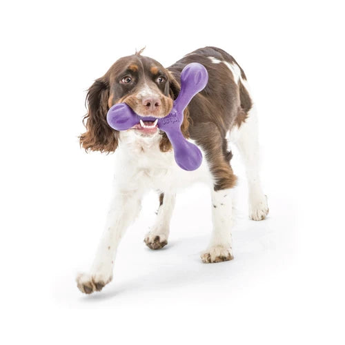 West Paw Skamp Zogoflex Echo Dog Toy - product detail 5