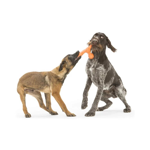 West Paw Skamp Zogoflex Echo Dog Toy - product detail 7