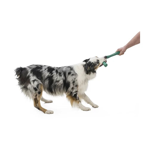 West Paw Snorkl Seaflex Dog Toy - product detail 5