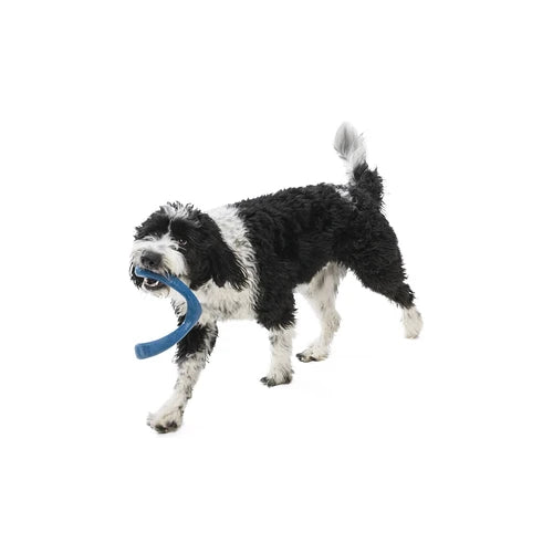 West Paw Snorkl Seaflex Dog Toy - product detail 9