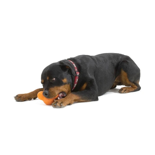 West Paw Tux Treat Toy - product detail 12