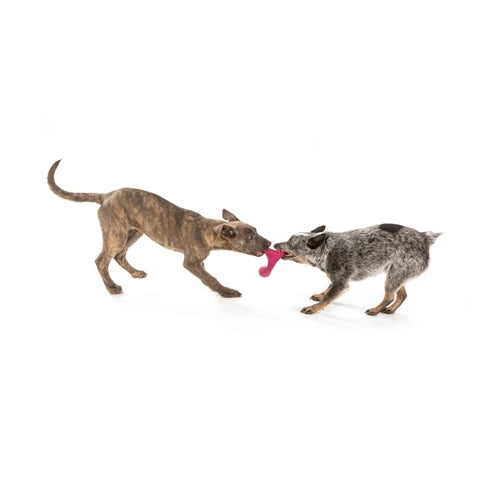 West Paw Wox Dog Toy - product detail 9