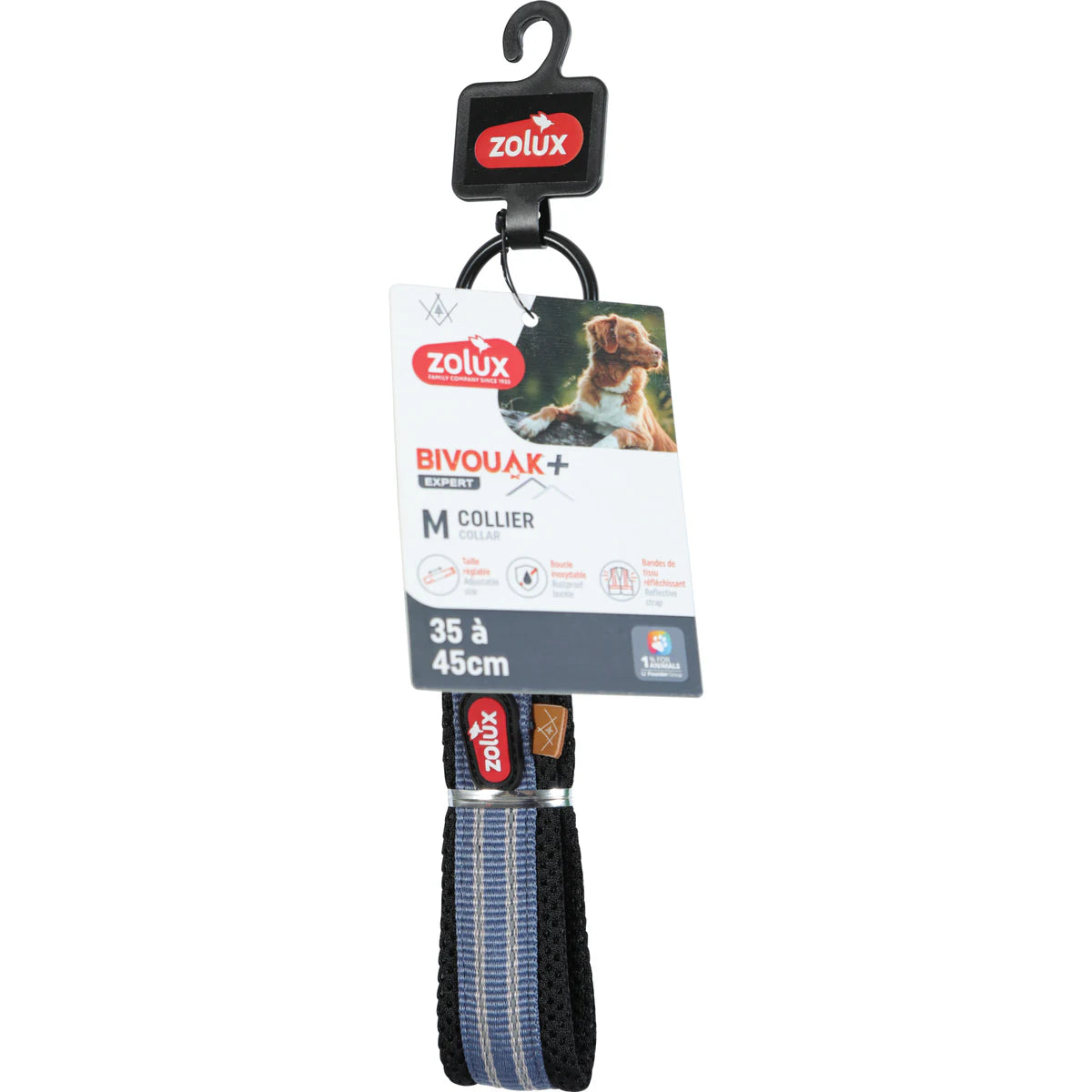 Zolux BVK Collar, 20 mm - Blue / 35-45 cm
