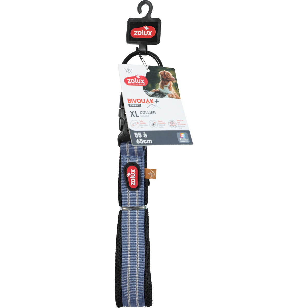 Zolux BVK Collar, 20 mm - Blue / 55-65 cm