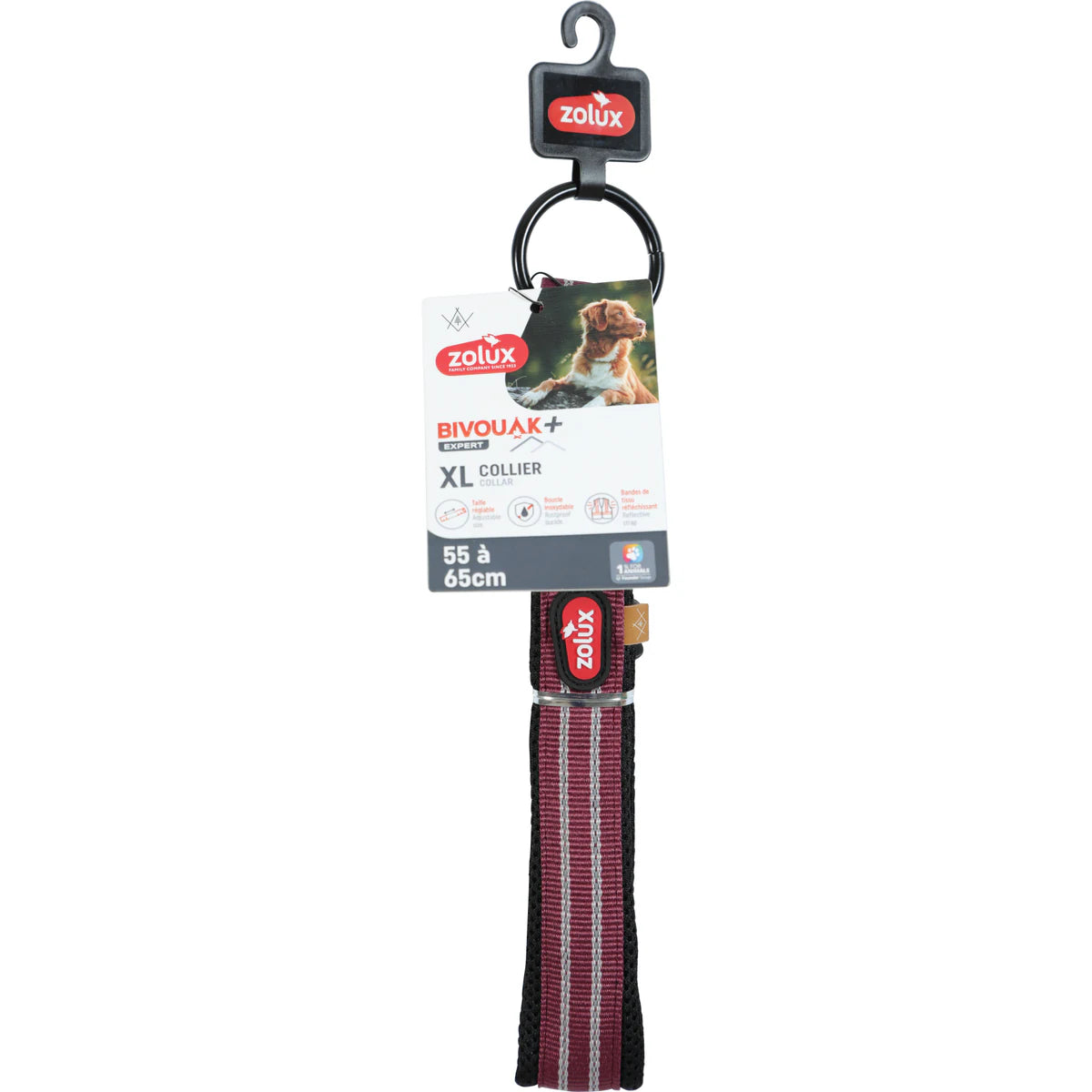 Zolux BVK Collar, 20 mm - Red / 55-65 cm