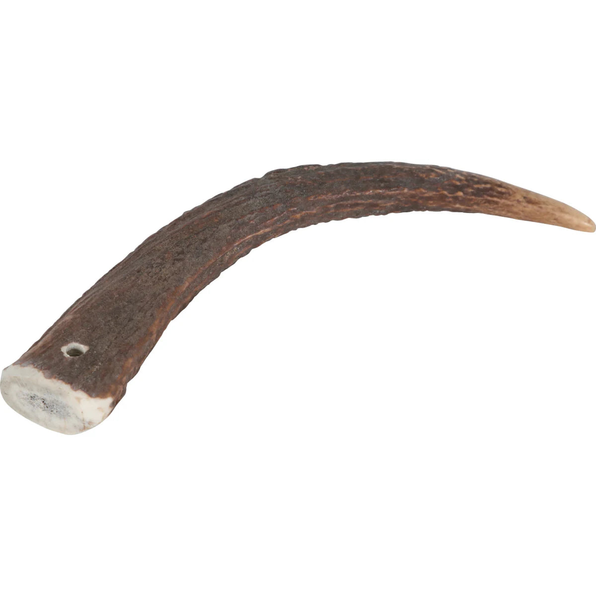 Zolux Natural Deer Antler Hard for Dogs Under 15 kg - additional product view