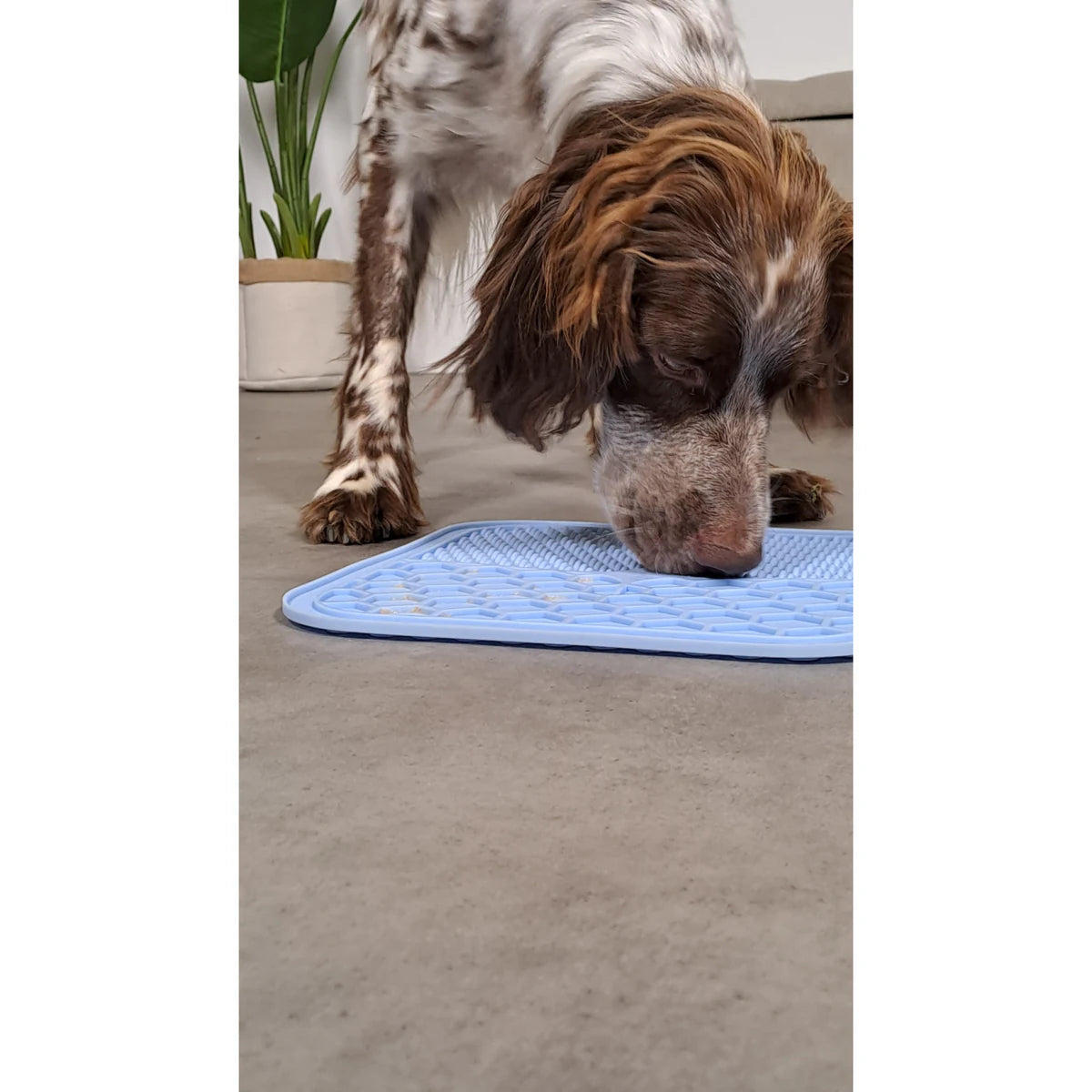 Zolux Silicone Licking Mat - additional product view
