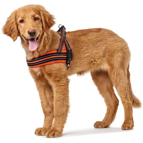 Hunter Meldal Dog Harness