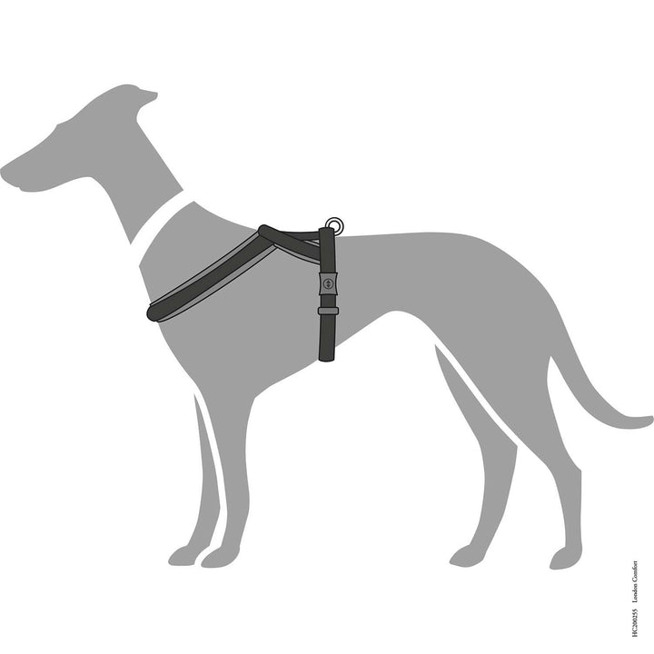 Hunter London Dog Harness
