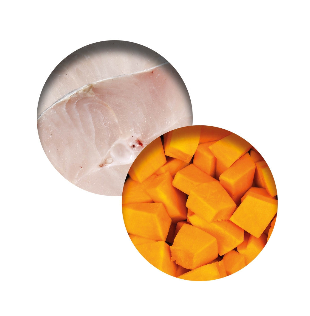 Catit Cuisine Fish Dinner with Whitefish & Pumpkin Cat Wet Food - product view 2