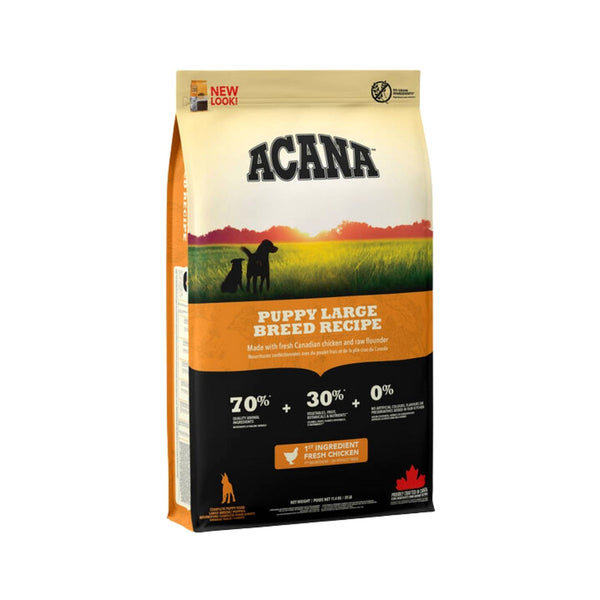 Acana Puppy, Large Breed Recipe, is an ideal food option as it is protein-rich to support muscle development and low in carbohydrates to manage weight.