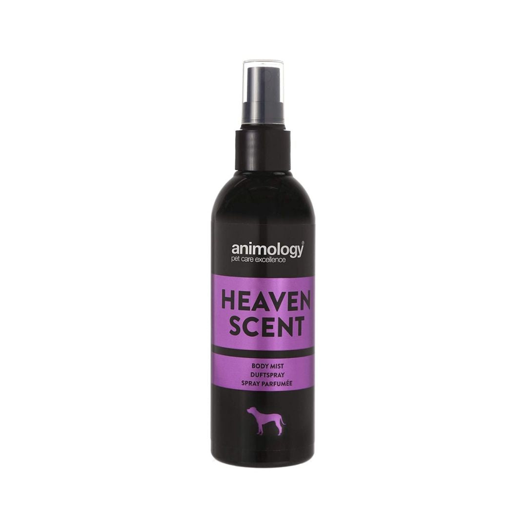 Animology Heaven Scent Body Mist is specially formulated for female dogs. This deodorizing spray features a delicate and feminine scent with floral fragrances.
