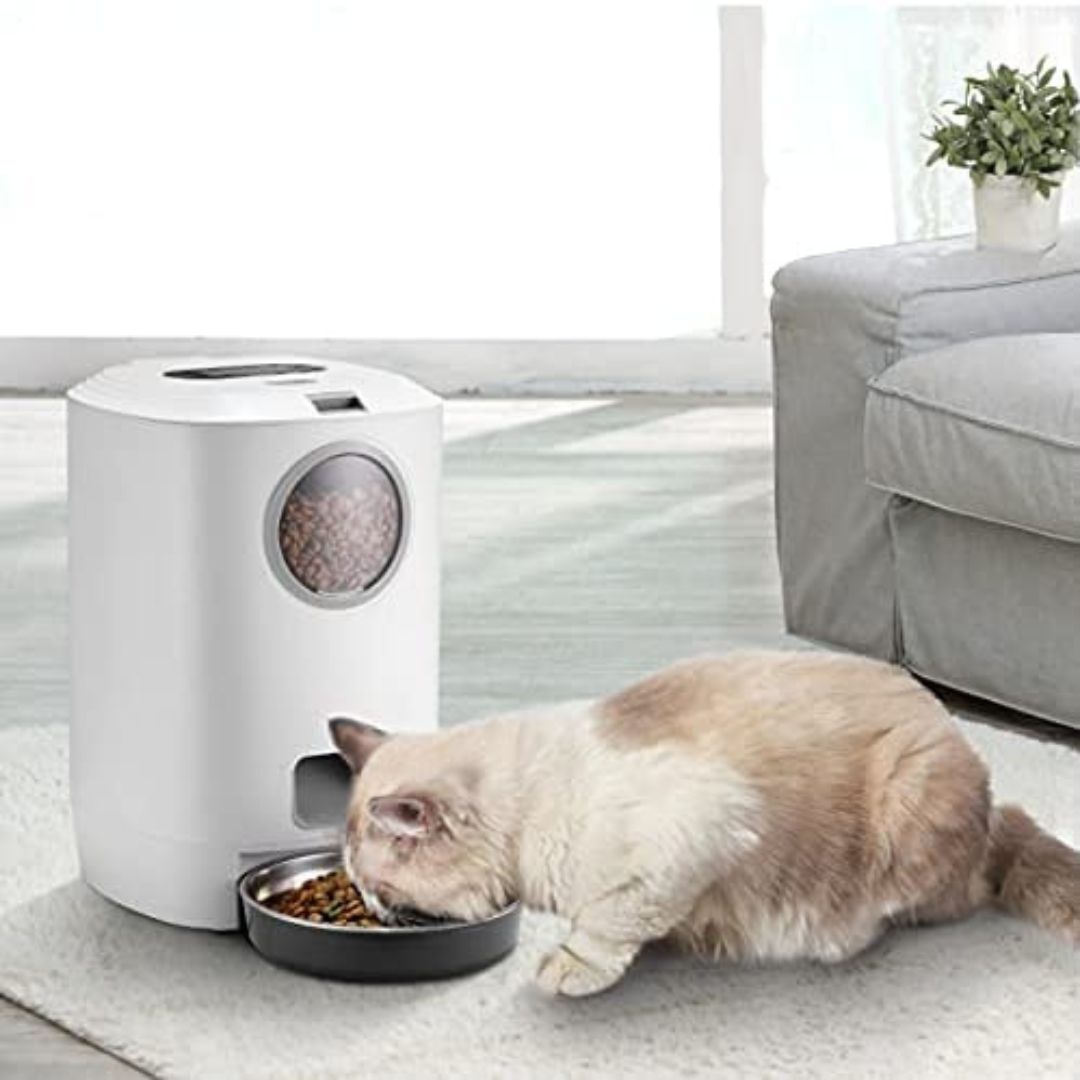 Automatic Pet Feeder With Clear Window 4.5L Petz.ae 4