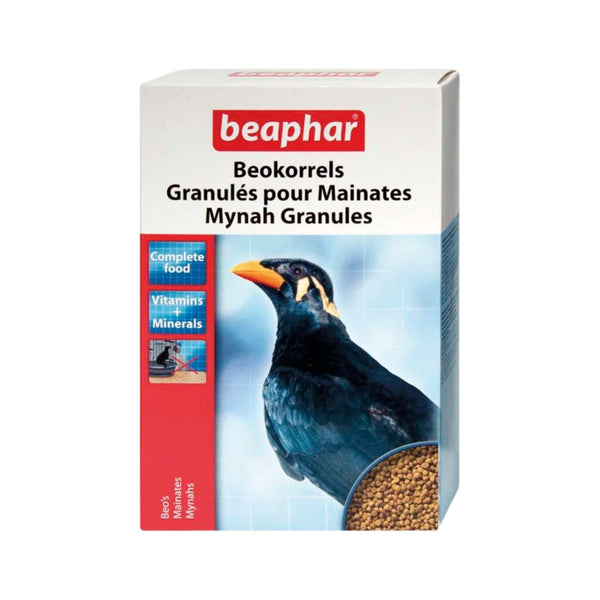 If you have a Mynah bird as a companion, you may notice that they can be choosy about their food. This can lead to nutritional deficiencies and health issues.