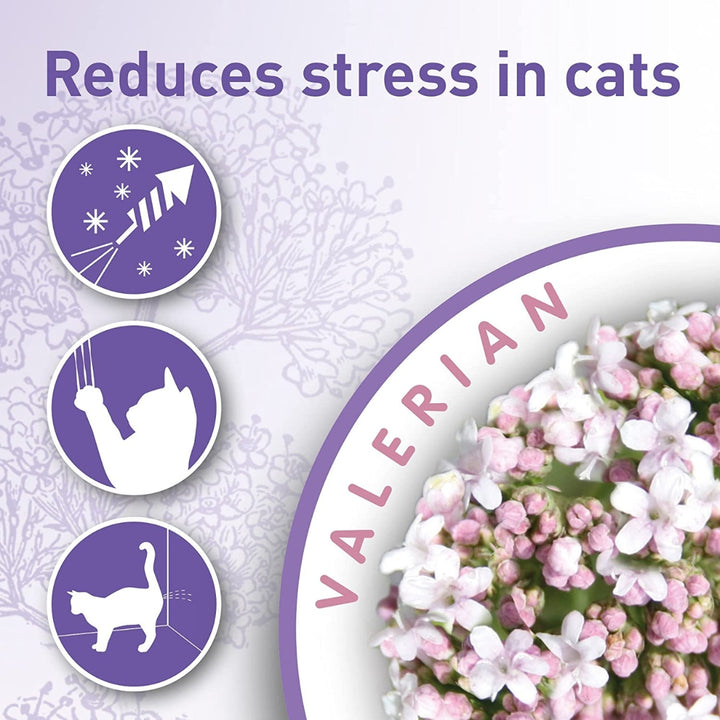 Beaphar Calming Collar Reduces Stress for Cat Petz.ae Dubai Pet Shop