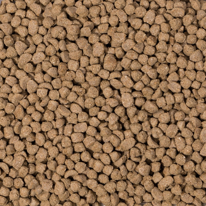 Beaphar Care+ pellets are created through an "extrusion" (heating) process to facilitate the digestion of proteins for young rabbits -Ad. 