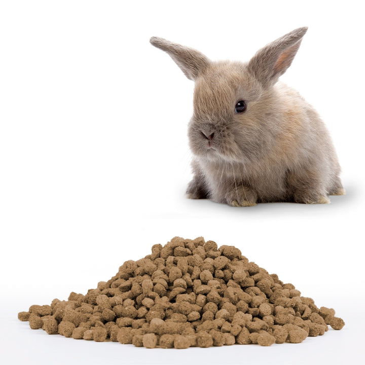 Beaphar Care+ pellets are created through an "extrusion" (heating) process to facilitate the digestion of proteins for young rabbits Full. 