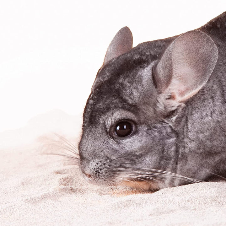 Beaphar Chinchilla Bathing Sand XtraVital Chinchilla Bathing Sand ensures that the chinchilla's fur stays in perfect condition 3.