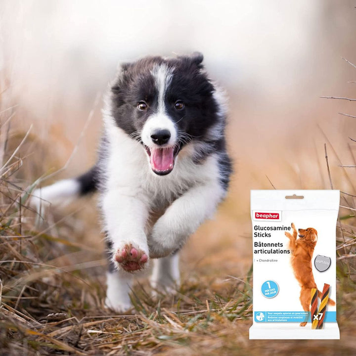 Beaphar Joint Sticks are a delicious, meaty flavored treat, which has been formulated to assist the development and maintenance of tendons, joints, and connective tissue AD.