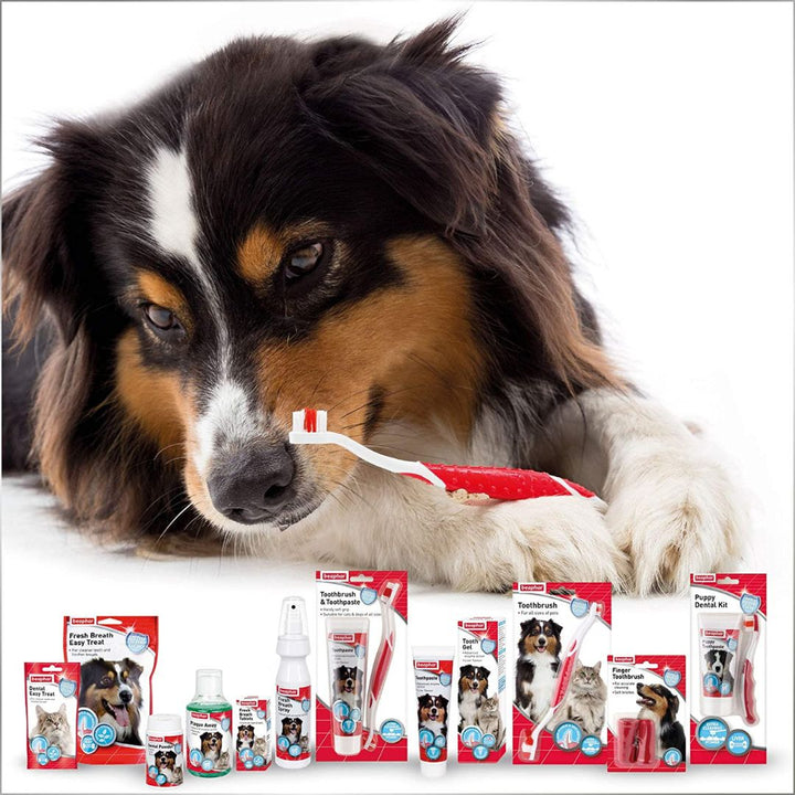 Beaphar Dogs Toothpaste is a daily dental care solution for your furry friend. With a delicious meat flavor, this toothpaste helps prevent the buildup of plaque and tartar AD.