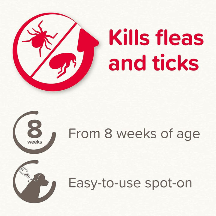 Beaphar FIPROtec Spot-On for Large Dogs kills fleas and ticks on dogs, and continues to kill fleas for up to five weeks and ticks for up to four weeks AD.