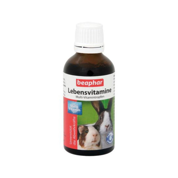 Beaphar Multivitamin Liquid for Small Animals - a powerful blend of 12 essential vitamins that promote optimal health and healthy skin and coat.