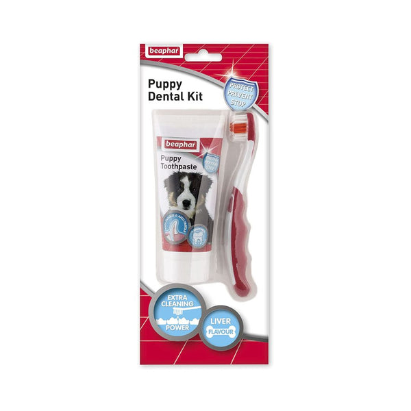 Beaphar Puppy Dental Kit Toothbrush contains everything you need to care for a puppy's dental health and develop a good oral hygiene routine.
