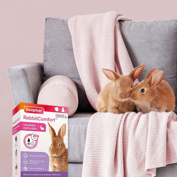 The Beaphar Rabbit Comfort Calming Diffuser is a simple and effective solution to reducing common behavioral problems in rabbits, such as hiding, aggressive behavior towards people or other rabbits, refusal to eat, or general feelings of anxiety.