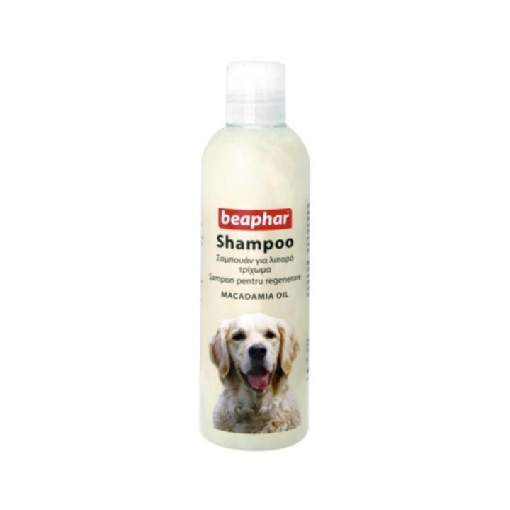 Beaphar Coat Repair Shampoo - a cleansing shampoo for all dog breeds. The specially formulated shampoo contains Macadamia Oil that helps restore the glossy appearance.