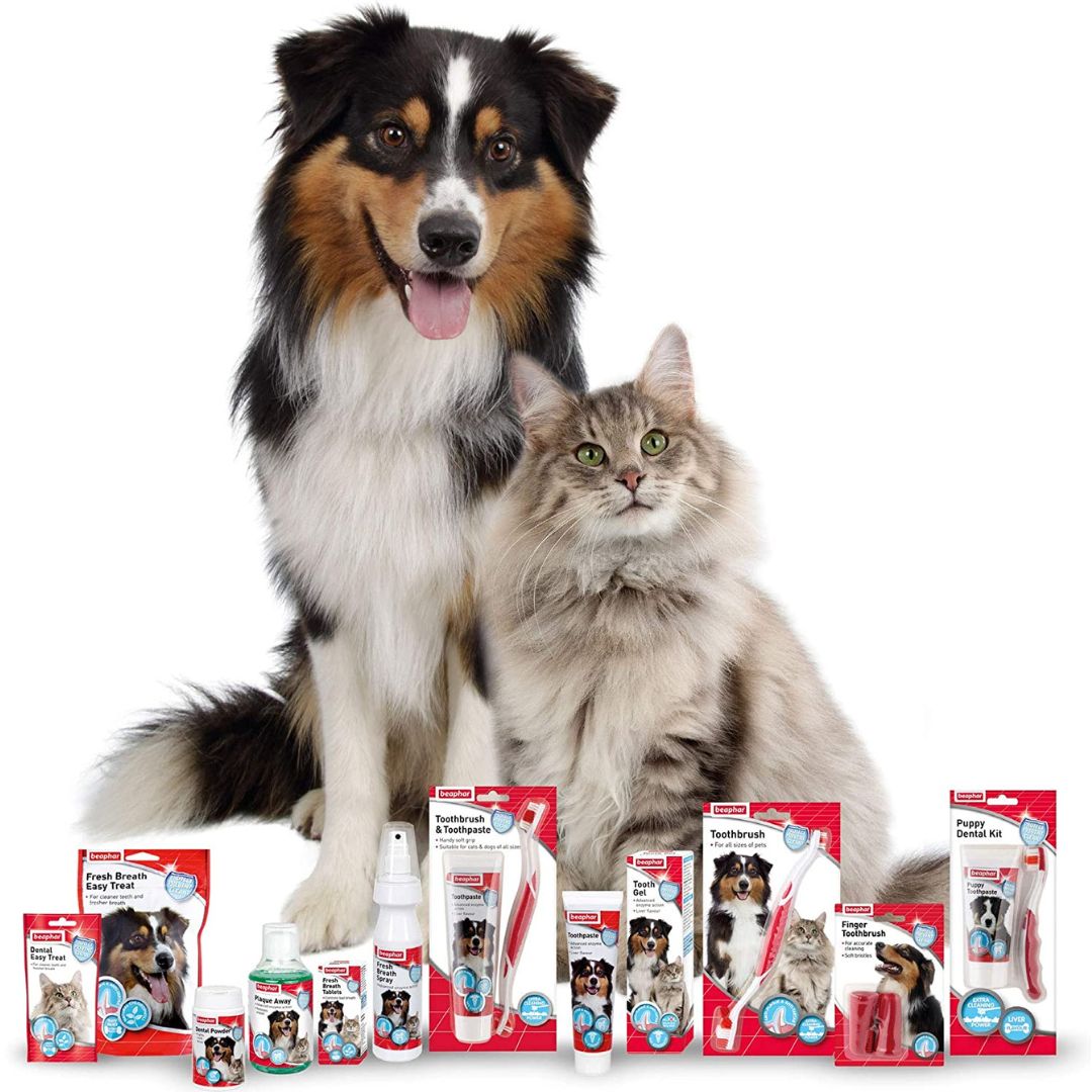 Beaphar Toothbrush & Toothpaste Combipack For Cats & Dogs - product image 3