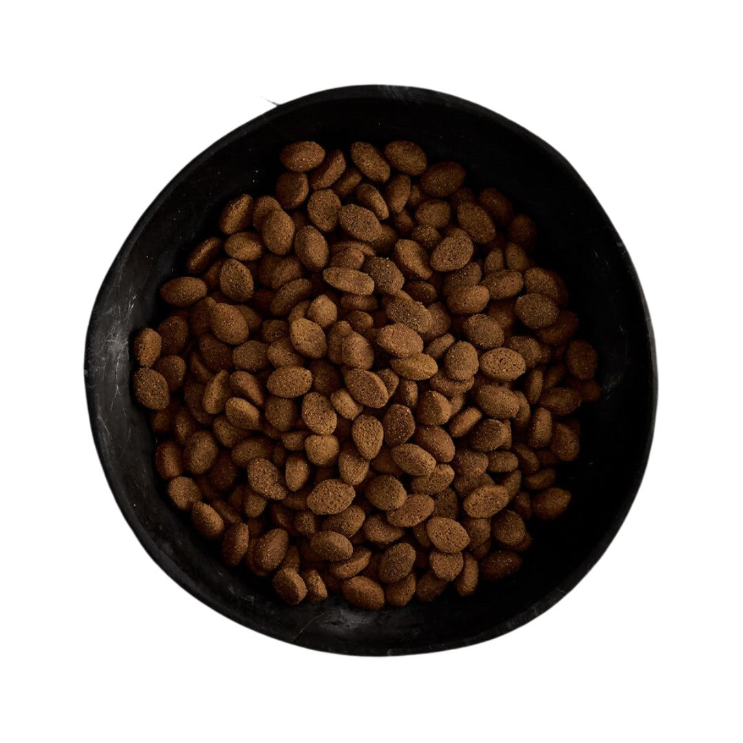 Buy Canagan Country Game Dog Dry Food Petz.ae