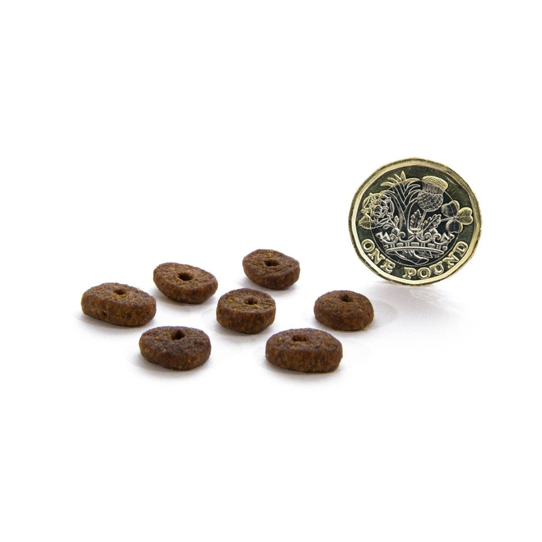 Shop Canagan Free Range Chicken Small Breed Dog Dry Food - Kibble Size