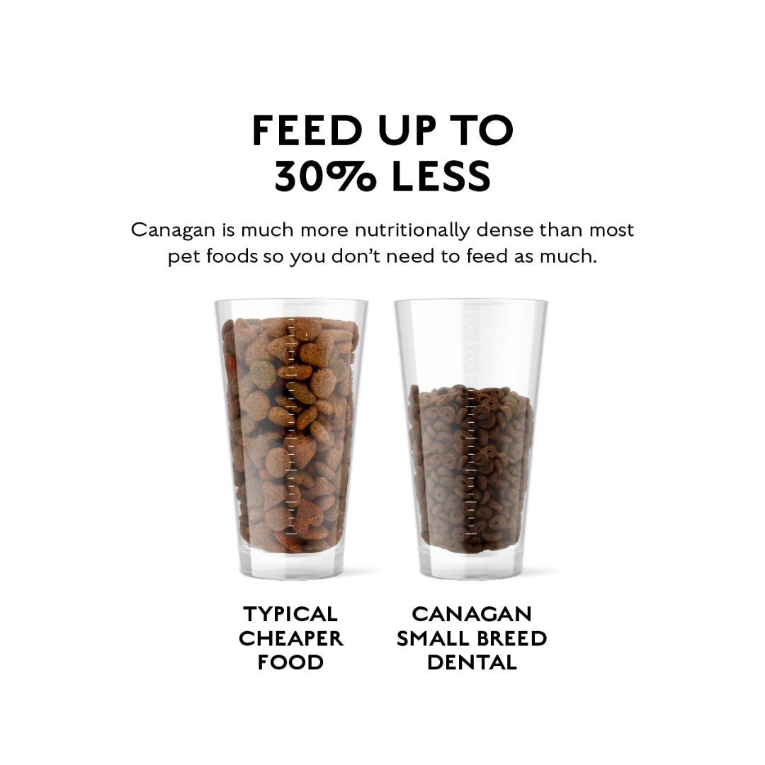 Canagan Free-Run Turkey Dental Small Breed Dogs grain-free diet that’s clinically proven to help with plaque removal, tartar control, and bad dog breath 5.