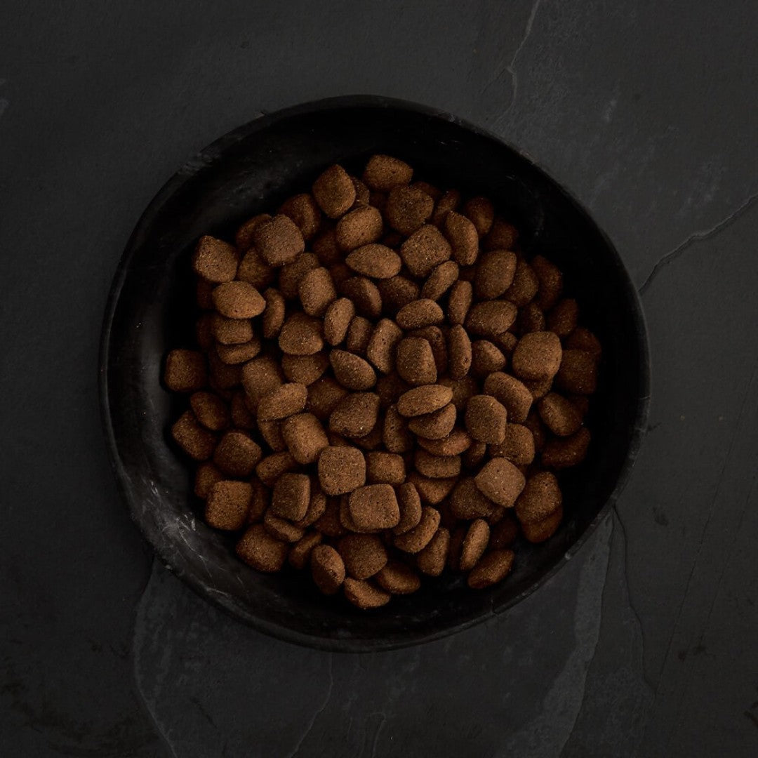 Canagan Grass Fed Lamb Dog Dry Food - Kibbles Size