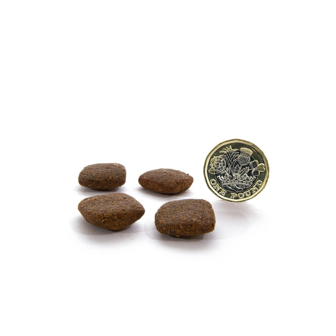Canagan Grass Fed Lamb Dog Dry Food - Kibbles 