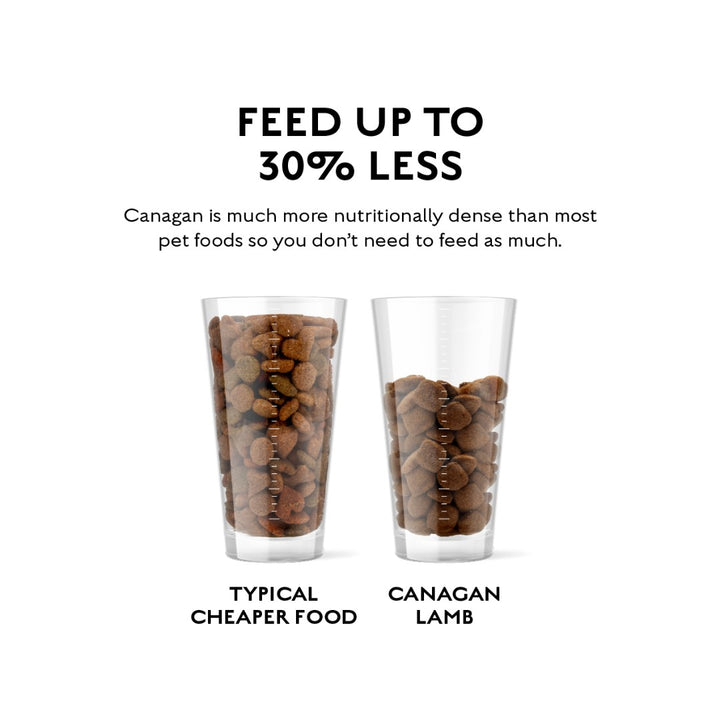 Canagan Grass-Fed Lamb Dog Dry Food is 100% grain free and contains botanicals and prebiotics to support digestion and provide much-needed nutrition 5.