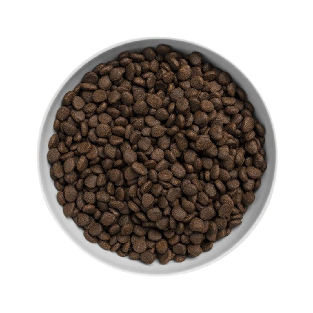 Canagan Scottish Salmon Cat Dry Food - Kibbles Size