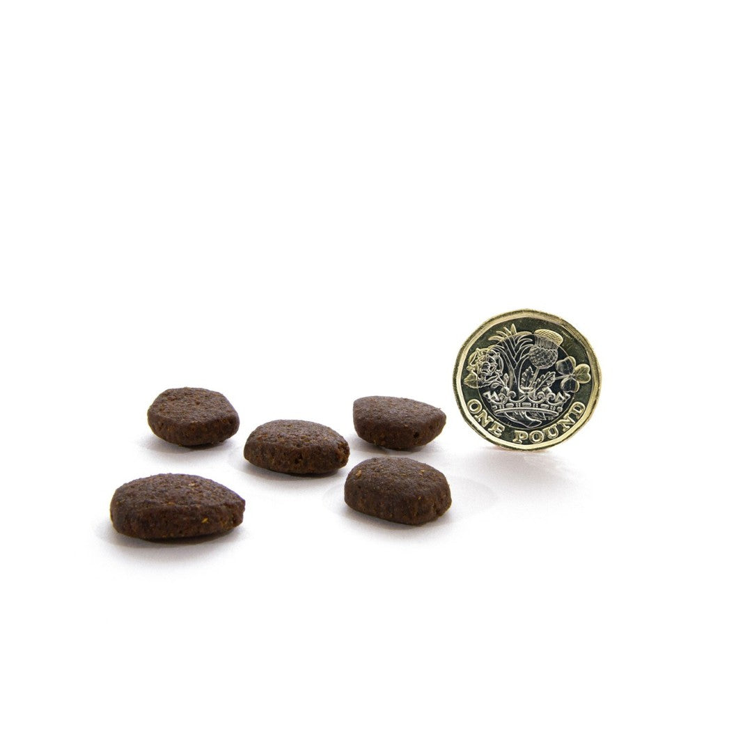 Canagan Scottish Salmon Dog Dry Food - Kibbles 